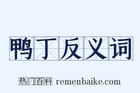 鸭丁反义词是什么意思的图片